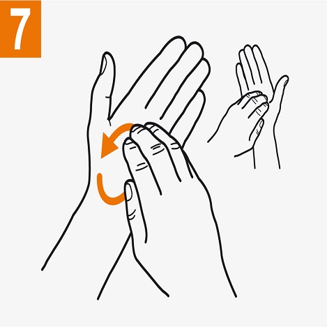 Frótese la punta de los dedos de la mano derecha contra la palma de la mano izquierda, haciendo un movimiento de rotación y viceversa. 